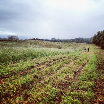 Native American Farming