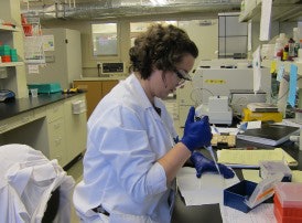 A Bio-Link intern works in a lab.