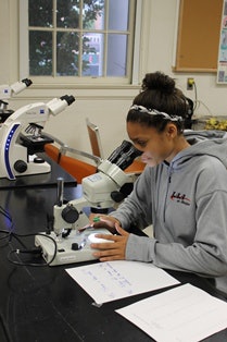 A student works in the lab at the Institute of Applied Agriculture at the University of Maryland, College Park.