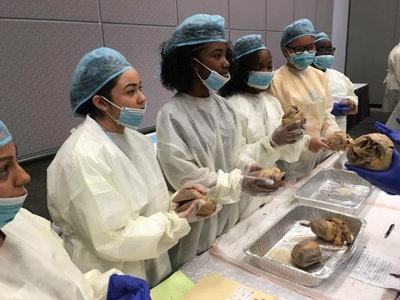 Students from the Saturday Science Academy II are studying the heart in an anatomy class. (Photo courtesy of Lorraine Grey and the Saturday Science Academy II)