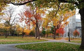 Bowdoin_College