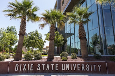 Dixie State Palm Tree Pic