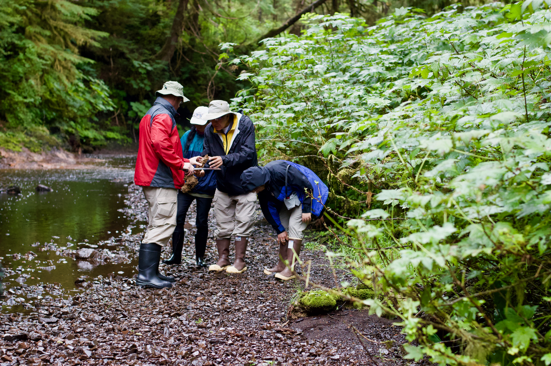 Michigan State researchers study a riverbed ecosystem in Alaska.