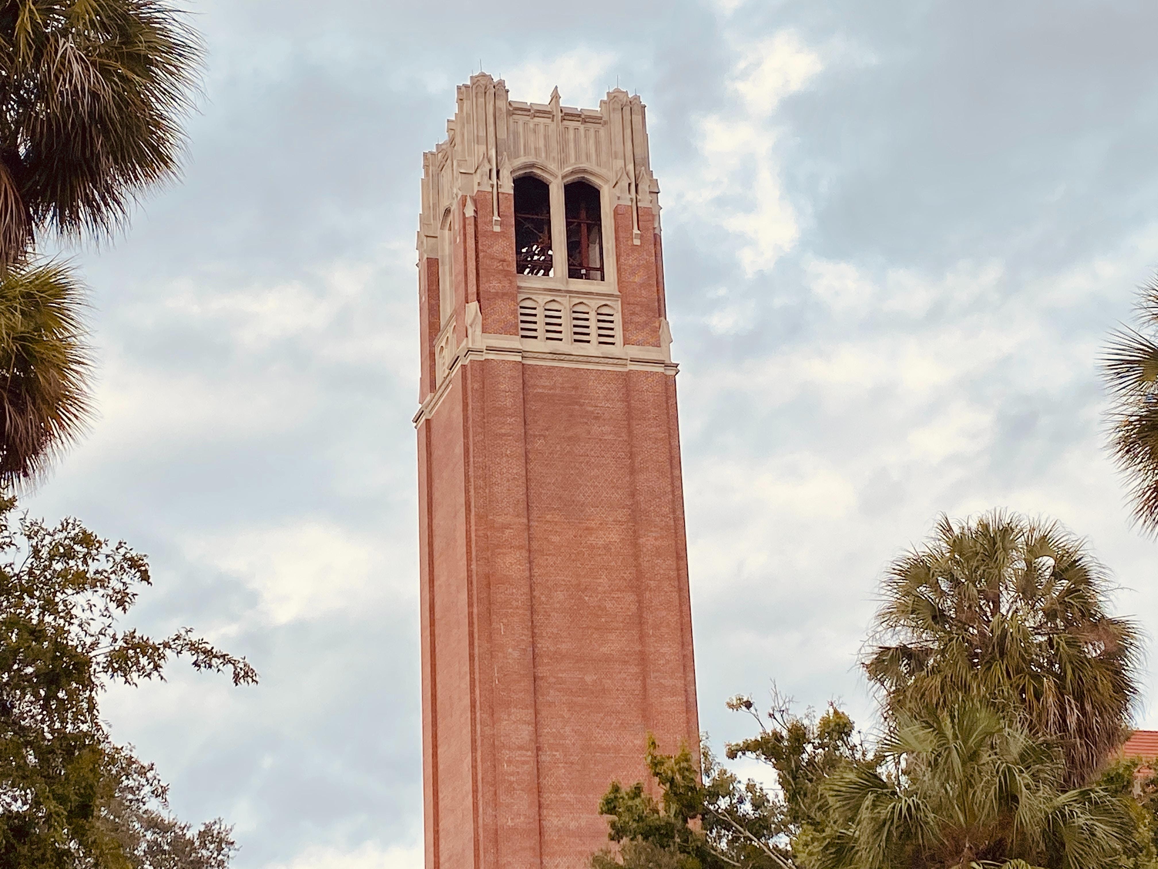 The University of Florida has weathered initial worries and fears that accompanied the introduction of anti-DEI legislation, according to Dr. Frank Fernandez, an assistant professor of higher education administration and policy and affiliate faculty with the Center for Latin American Studies.