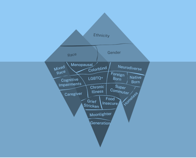 The Iceberg Demographic Schema