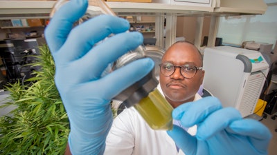 Dr. Leonard Williams, the director and professor of food safety and microbiology at N.C. A&T Center for Excellence in Post-Harvest Technologies, is working on developing an all-natural, antiviral disinfectant with promising results in controlling the spread of SARS-CoV-2.