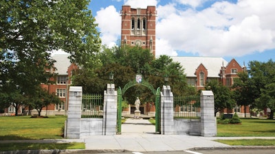 Elms