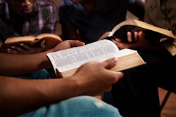 Istockphoto 155096043 612x612